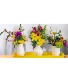 Seasonal Centerpiece  Table Topper 
