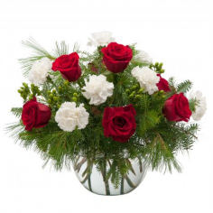 Category Image
