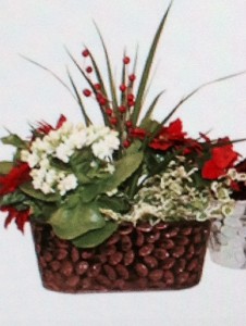 Seasons Greetings Dish Garden Large planter