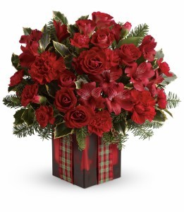Seasons Suprise HWR111A