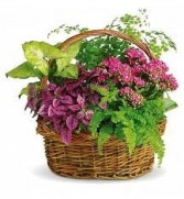 Secret Garden Blooming Basket with Birds and Flowers Added