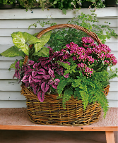 Secret Garden Plant Basket 