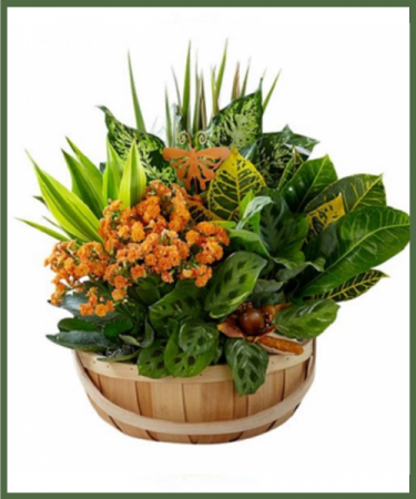 SECRET GARDEN PLANT BASKET FOR FALL
