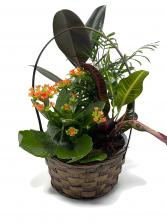 Planter Basket T-1 Planter Garden 