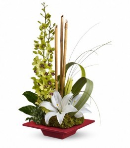 Secret Oasis Tropical in Cape Coral, FL | ENCHANTED FLORIST OF CAPE CORAL Secret Oasis Tropical in Cape Coral, FL | ENCHANTED FLORIST OF CAPE CORAL