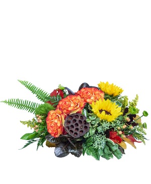 Seed of Hope All Around Arrangement