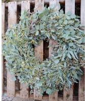 Seeded-Silver Dollar Eucalyptus Wreath Wreath