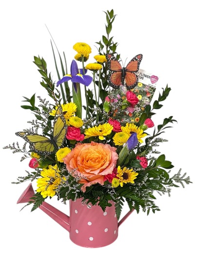 Seeds of Love MOTHER'S DAY SPECIAL