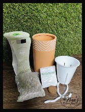 Self-Watering Basil  Plant Kit