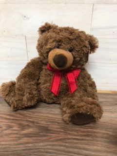 Send a hug  10” plush bear