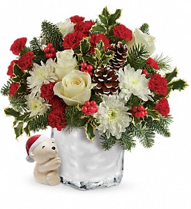 Send a Hug Bear Buddy Christmas
