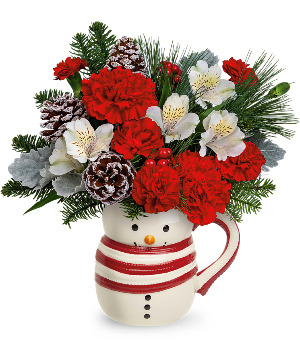 Send A Hug Christmas Frosty Bouquet T22X510A by Teleflora