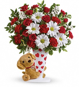 Send a Hug I Ruff You by Teleflora Arrangement (T15V400A)