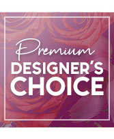 Send Exquisite Design Premium Designer's Choice