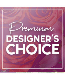 Send Exquisite Design Premium Designer's Choice