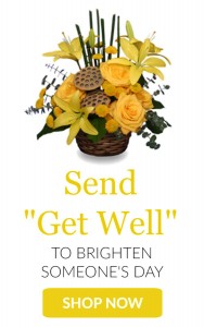 Send Get Well 