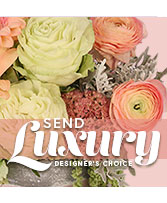 Send Luxury Designer's Choice in Pleasanton, Texas | The Olive Branch
