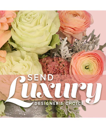 Send Luxury Designer's Choice in Rincon, GA | Red Roof Flowers & Gifts