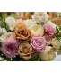 "Send Nudes" - Medium Designer’s Choice Vase Arrangement