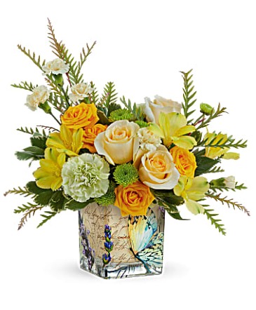 Send Sunshine Arrangement in Winnipeg, MB | Ann's Flowers & Gifts