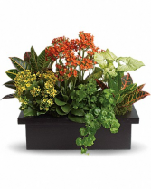 Send warm wishes with this lovely gift bouquet tha