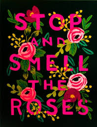 Send Your Feelings in Roses! Order Now For Same Day Delivery!