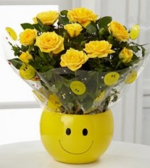 Sending a Smile Mini Rose Plant  