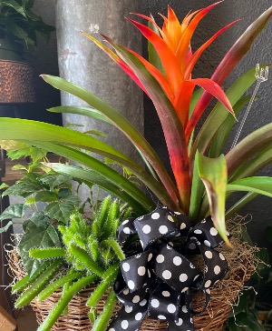 Sending Warm Weather  