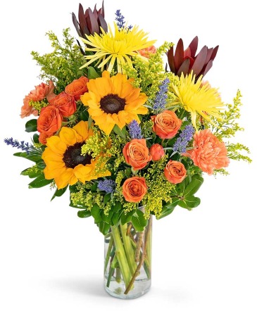 Sending You Splendor Flower Arrangement in Nevada, IA | Flower Bed