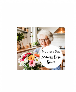 Seniors Care Home Delivery 