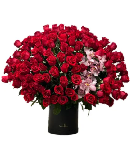 Sensacion Magnifica Rosas Rojas Premium de Lujo