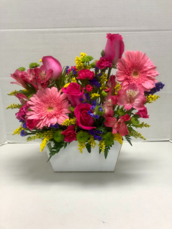 Sensational Spring