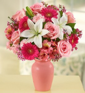 SENTIMENTAL SURPRISE