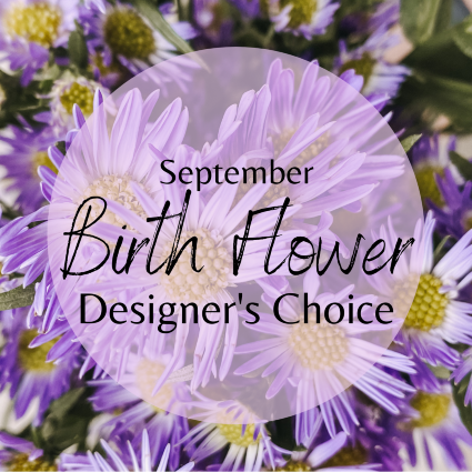 September Birth Flower Designer's Choice Designer's Choice
