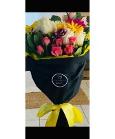 Serenade Designer's  choice