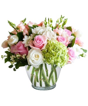 Serene Delight Arrangement