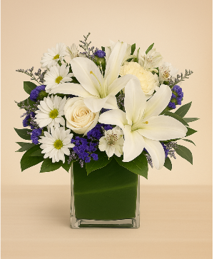 Serene Grace Sympathy