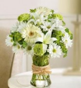 Serene Gree Bouquet Gerbera Daisies & Asiatic Lilies