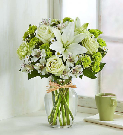 SERENE GREEN