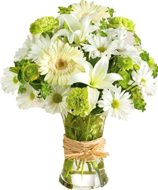 SERENE GREEN ARRANGEMENT