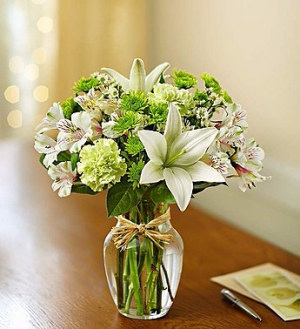 Serene Green Arrangement in Winston Salem, NC | RAE'S NORTH POINT FLORIST INC. Serene Green Arrangement in Winston Salem, NC | RAE'S NORTH POINT FLORIST INC.