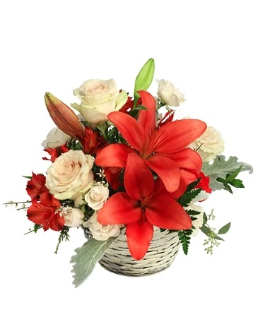 Serene Scarlet & Ivory Basket Arrangement in Burton, MI | FENNER'S FLORAL & DESIGN COMPANY Serene Scarlet & Ivory Basket Arrangement in Burton, MI | FENNER'S FLORAL & DESIGN COMPANY