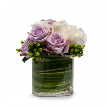 Serenity Arrangement