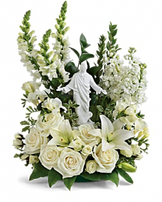 Category Image