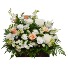 Serenity Flowers