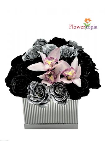 Under my spell Roses New!! Box of Roses