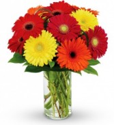 Setting Sun Gerbers Vase Arrangement