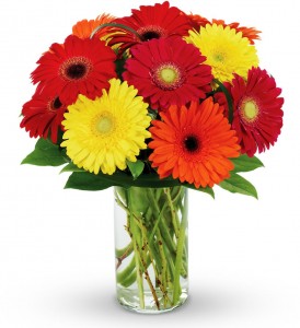 Setting Sun Gerbers Vase Arrangement