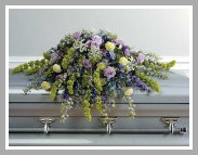 SF 19-11 Sympathy