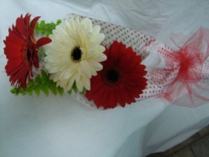 3 Mini RED AND WHITE GERBERAS WRAPPED WITH GREENS TO BE picked up or  DELIVERED!!